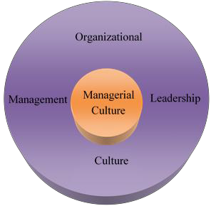 Fig. 2. Managerial culture, an integral component of organizational culture