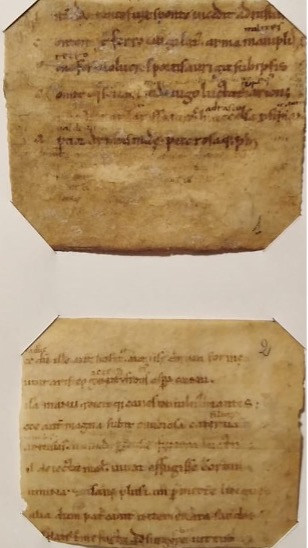 ASMo, Manoscritti della Biblioteca, Frammenti, b. 16, fr. 13 (Publio Papinio Stazio, Tebaide, libro IV).