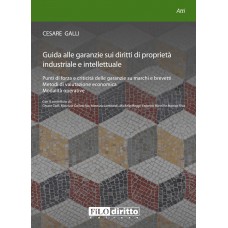 Guida alle garanzie sui diritti di proprietà industriale e intellettuale