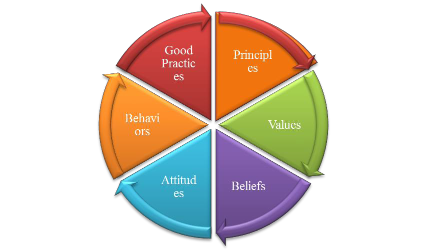 Fig. 1. Organizational culture variables