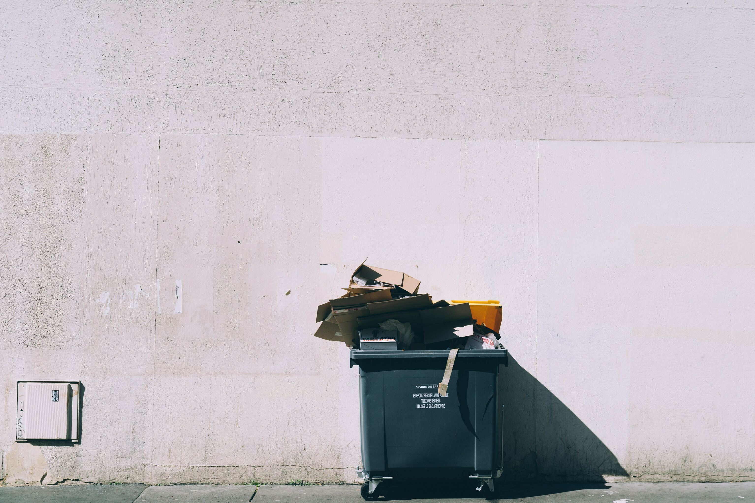 Credits: Jilbert Ebrahimi via Unsplash