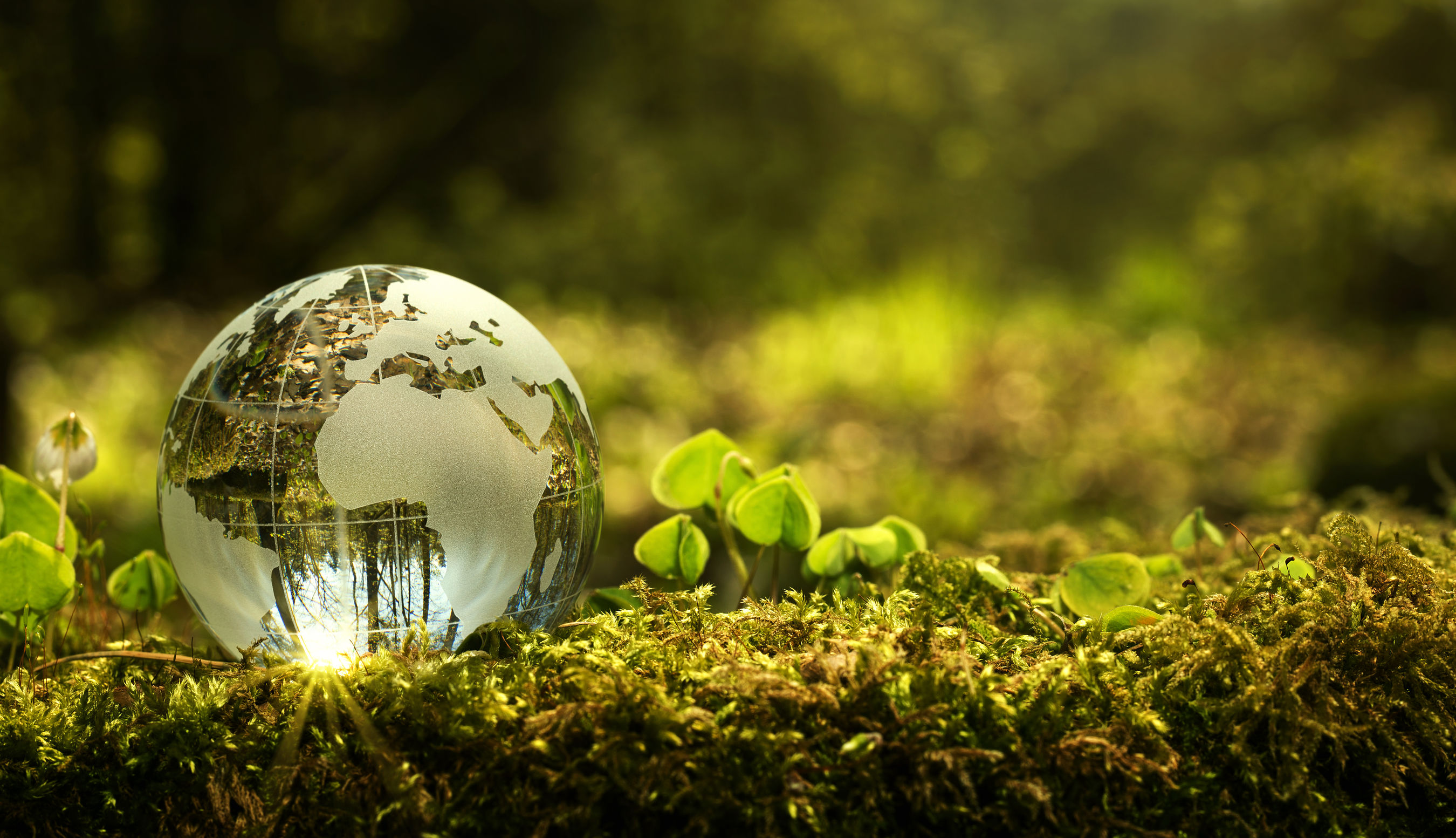 Green Public Procurement