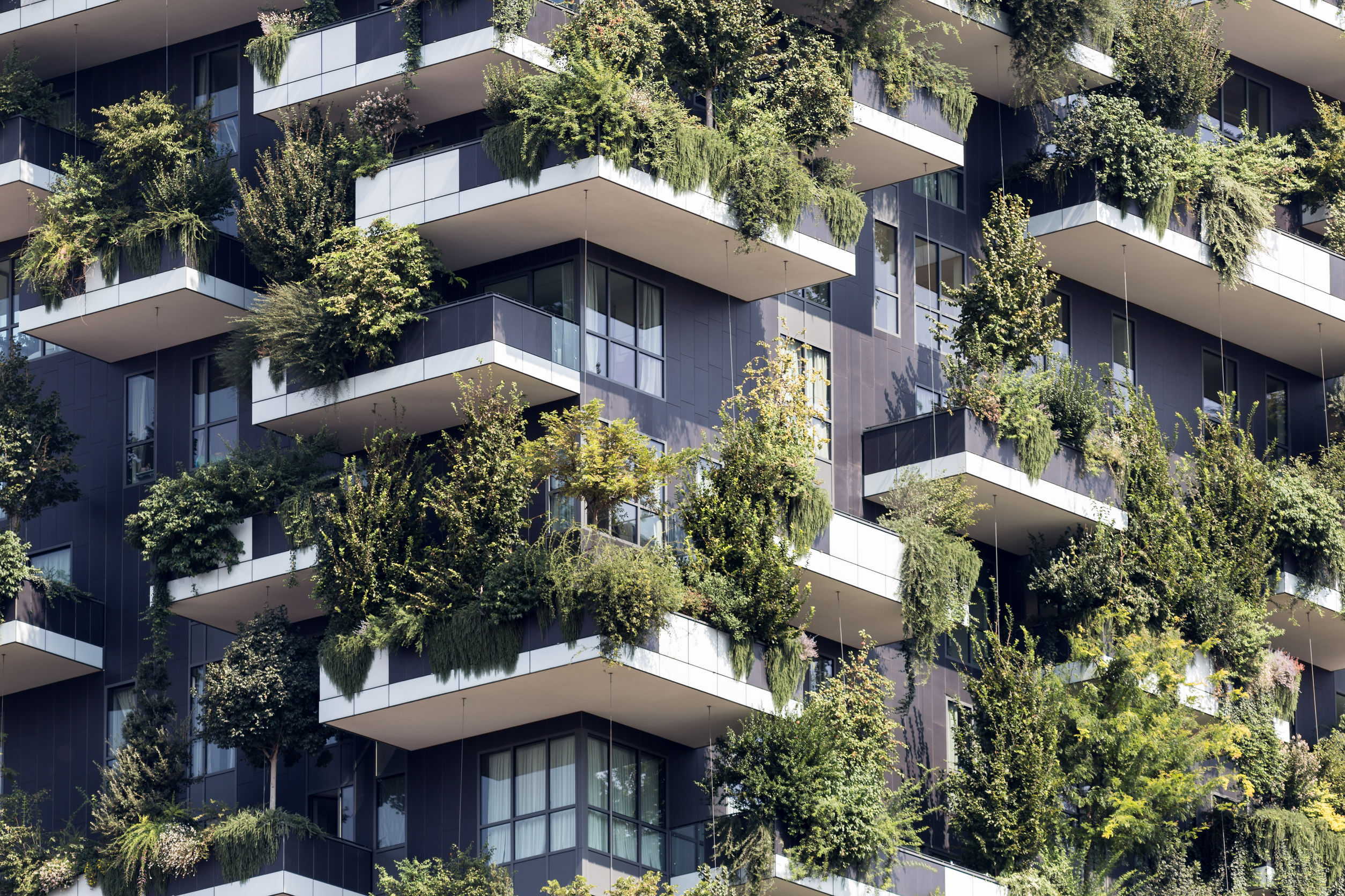 regolamento condominiale bosco verticale