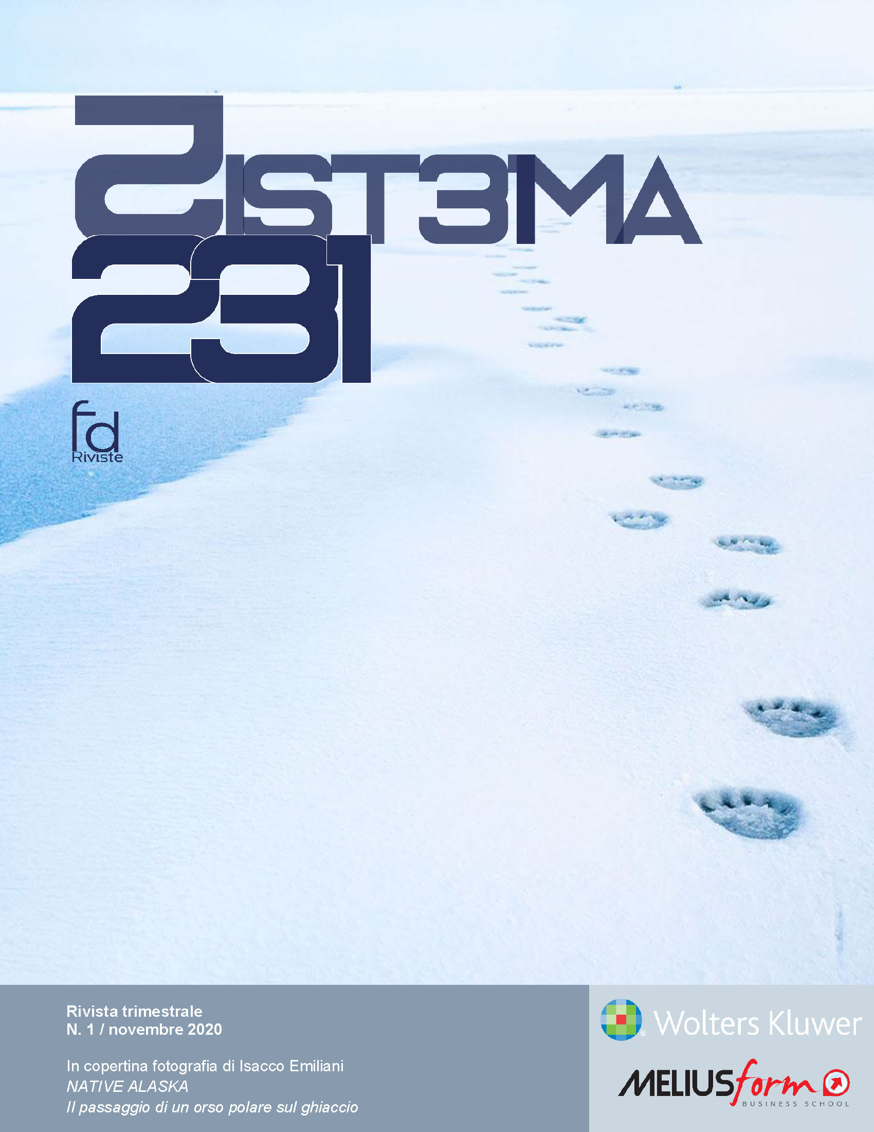 Sistema 231