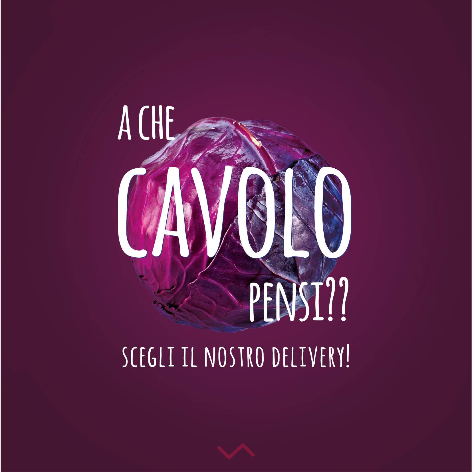 cAVOLO