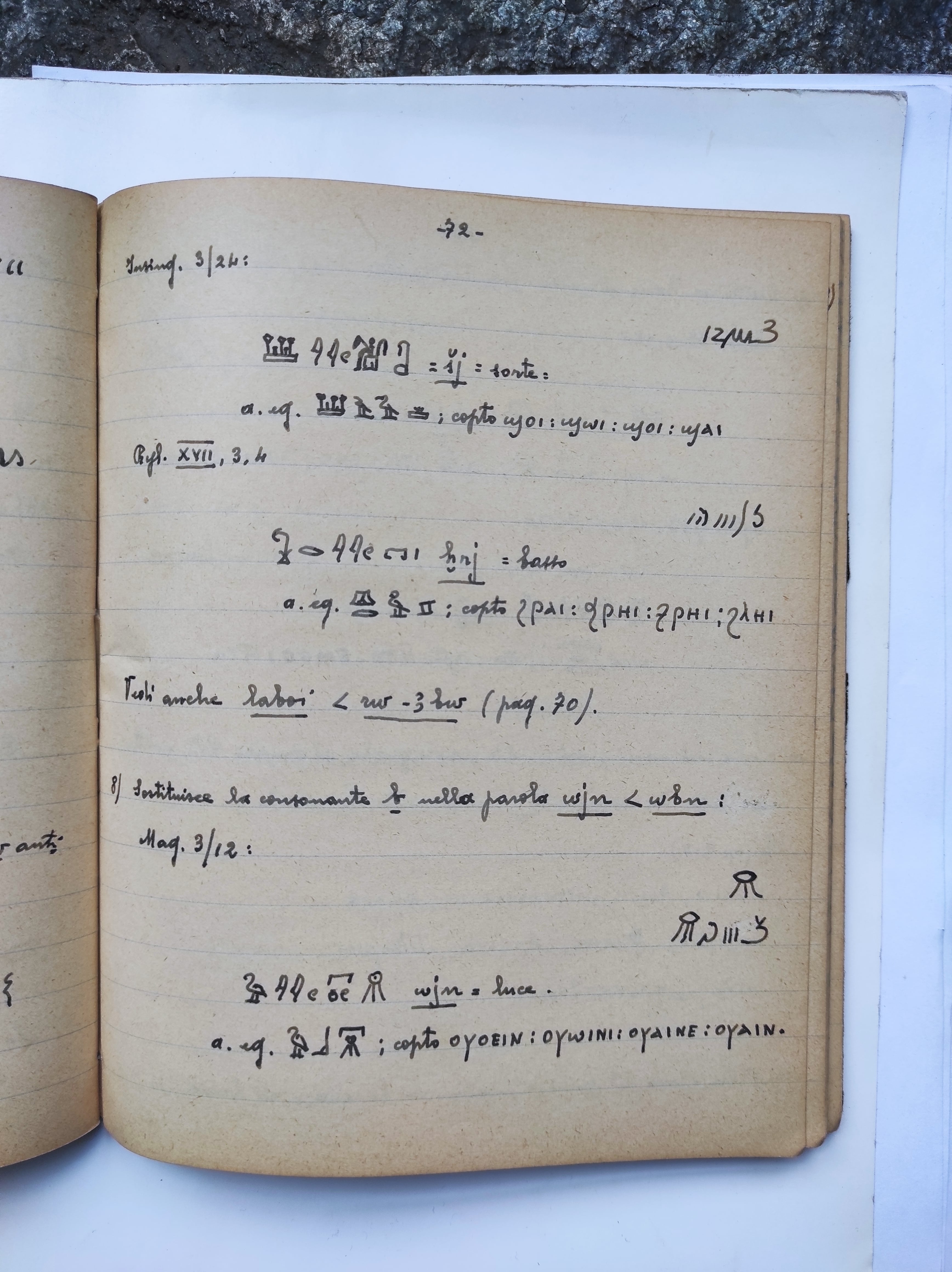 Quaderni di appunti: lezioni di demotico e di fonetica demotica del prof. Lexa e corso di neoegiziano del prof. Černy. (ASTo, Archivio Giuseppe Botti, mazzo 10/1) I 43 quaderni e le 2 rubriche contenenti appunti sulla grammatica egizia e sulle tre scritture studiate da Giuseppe Botti (geroglifico, demotico e copto) sono stati suddivisi per affinità di argomento in fase di inventariazione e condizionati in 3 mazzi (10/I-II e 11).