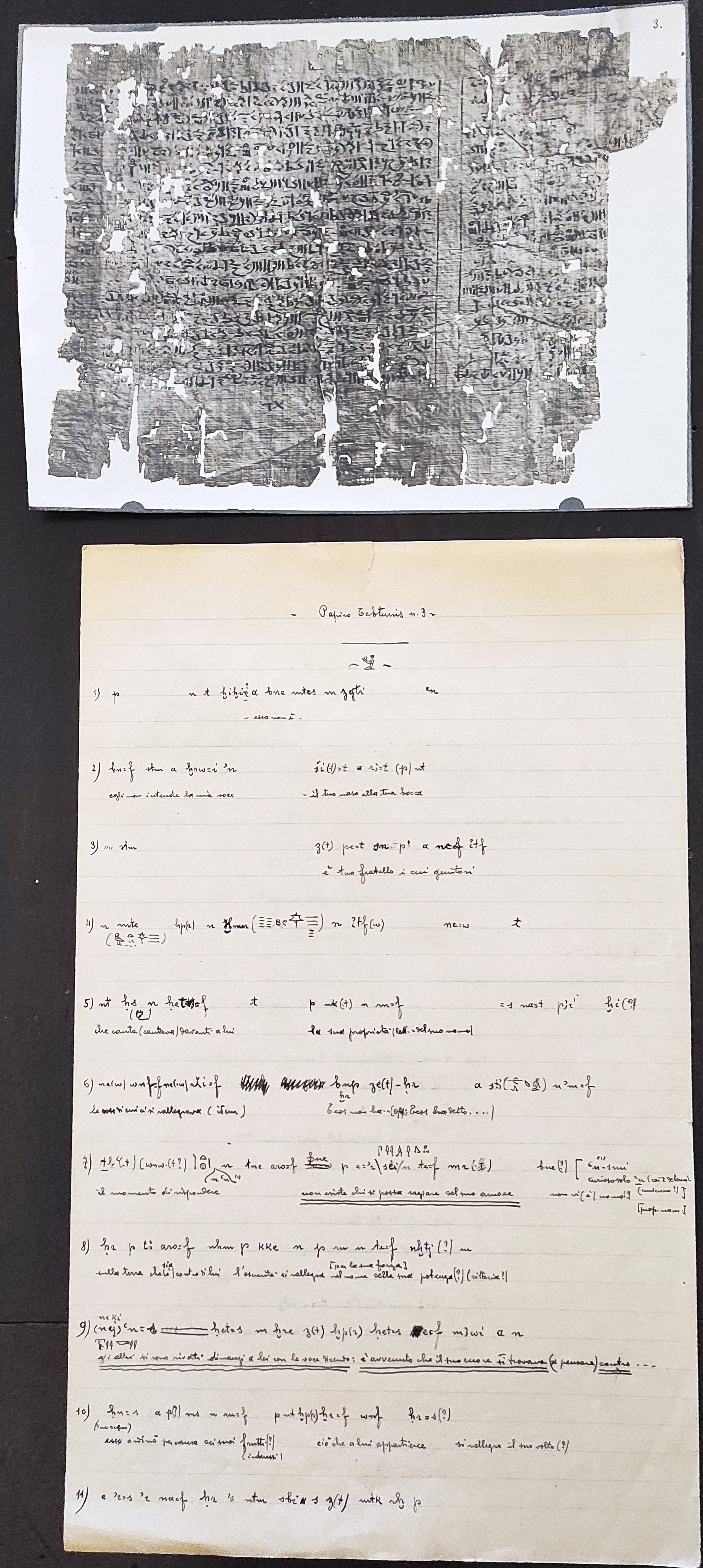 Frammento di papiro da Tebtynis con appunti e trascrizione di Giuseppe Botti. (ASTo, Archivio Giuseppe Botti, mazzo 22, fasc. 6)