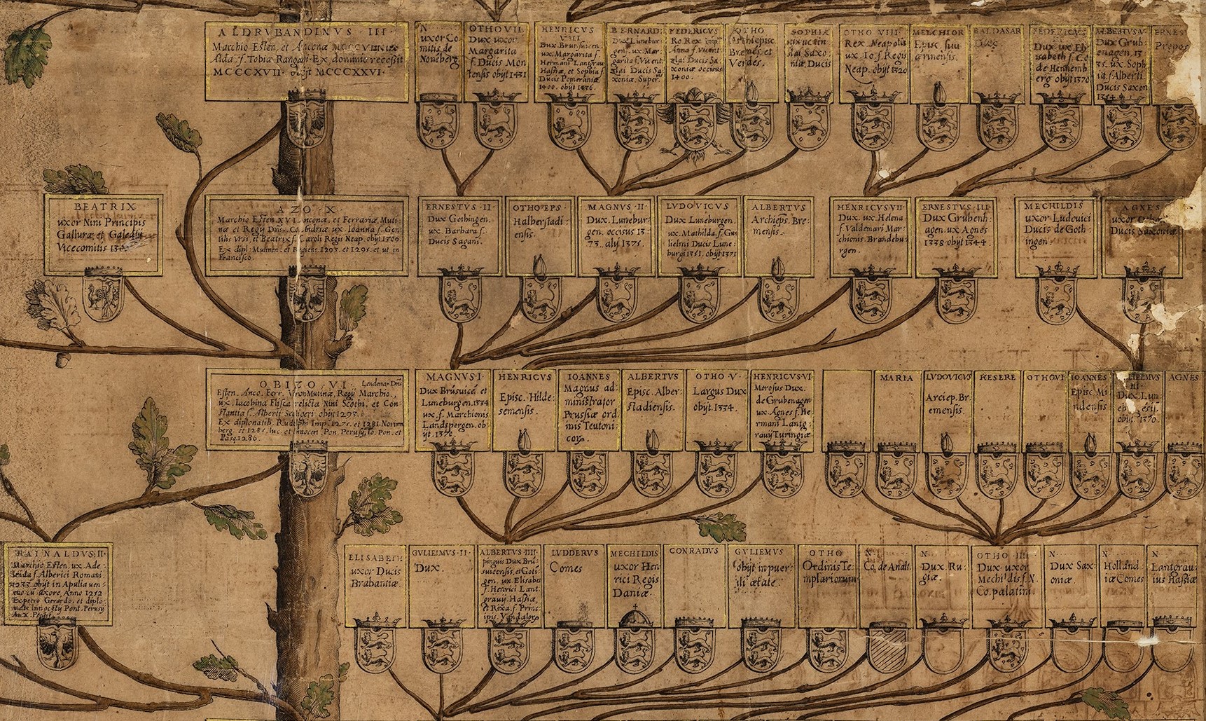 Albero genealogico della famiglia d’Este (ramo ducale) edito tra il 1560 e il 1564 da Girolamo Falletti, particolare dell’integrazione a stampa ASMo, A.S.E., Casa e stato, Genealogie, storie e notizie di casa d’Este, b. 59