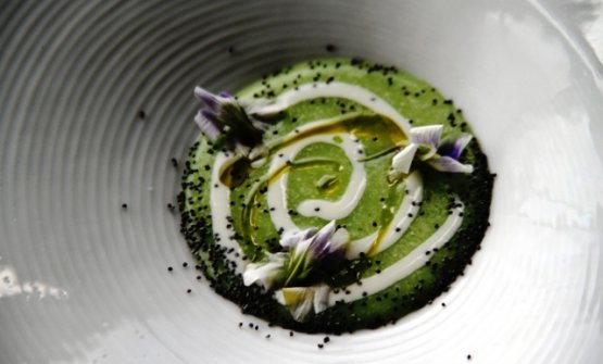 Polenta verde con silene - Antonia Klugmann