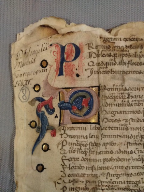 Particolare ASMo, Manoscritti della Biblioteca, Frammenti, b. 2, fasc. 1, fr. 10 (Publio Virgilio Marone, Georgiche, libro IV).