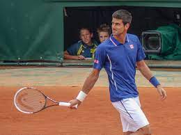 Il caso Djokovic. Immagine di "ilpuntoquatidiano.it"