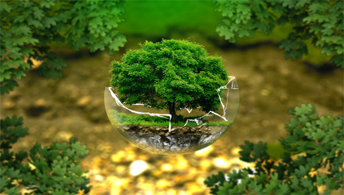 To Be or Not to Be Sustainable: the Care Ethics of the Environment vs. the Tragedy of the Commons To Be or Not to Be Sustainable: the Care Ethics of the Environment vs. the Tragedy of the Commons