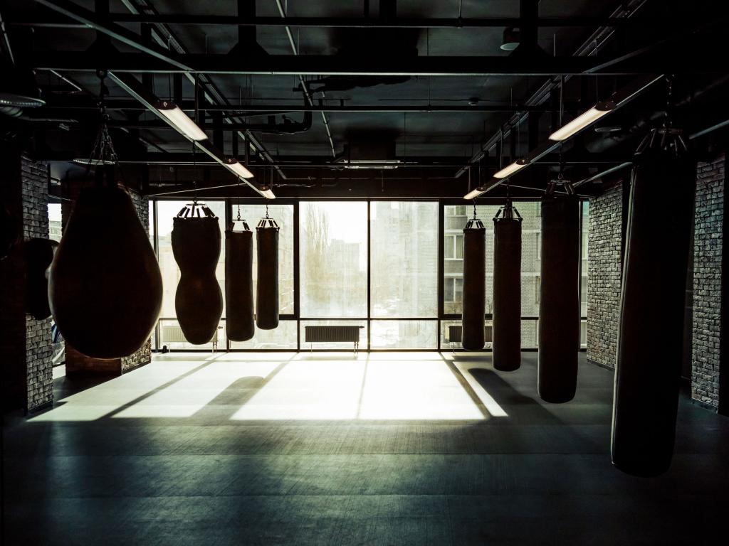 La palestra non è uno sport Filodiritto