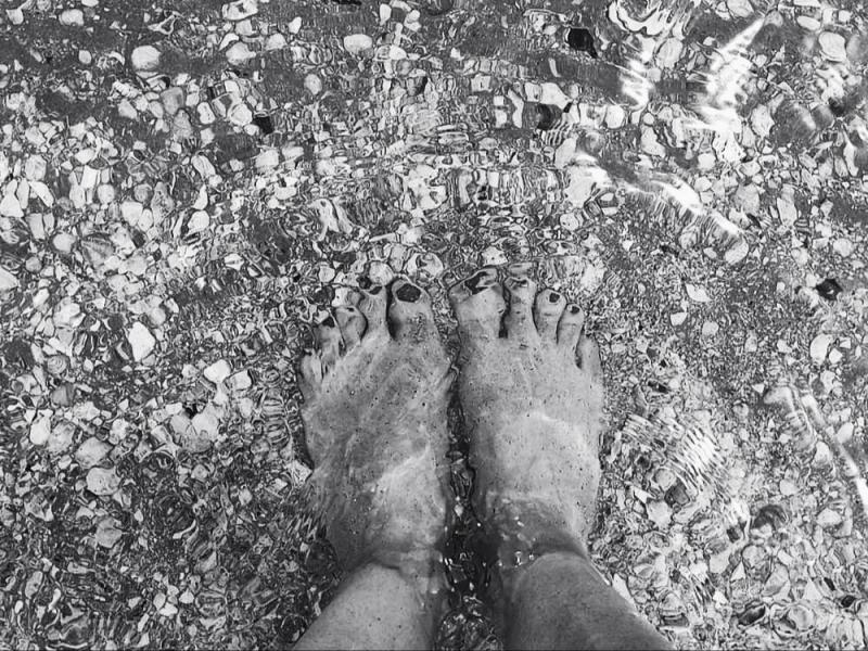 Green pass europeo: sì del Parlamento europeo | Filodiritto