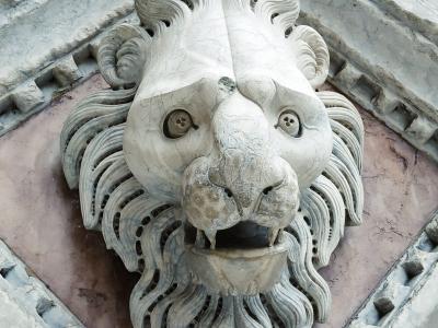 Il Leone di Siena