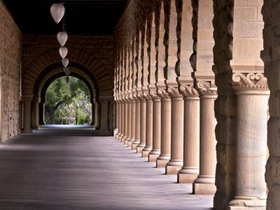 Delibere dell'Università