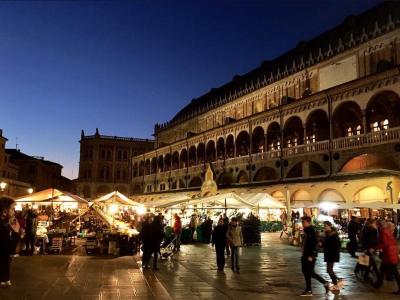 Piazza delle Erbe, Padova