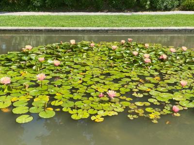 Orto Botanico di Padova