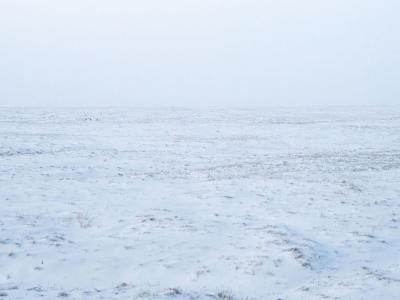 Dove per la natura inizia la tundra artica