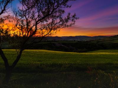 Pienza 2016