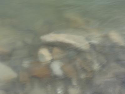 Fiume Setta, 2019
