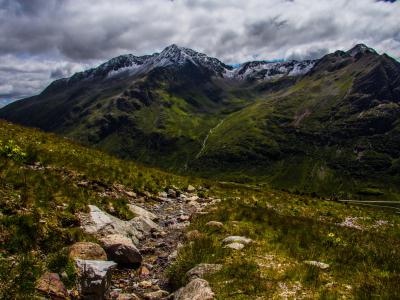 Passo stalle, 2017