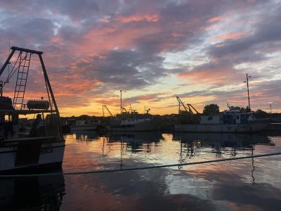 Marina di Ravenna