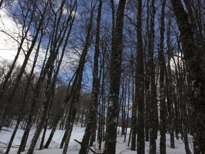 Monte Terminillo, Rieti