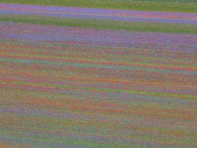 Castelluccio di Norcia