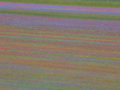 Castelluccio di Norcia