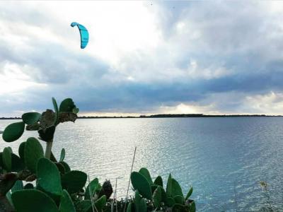 Volare sul mare