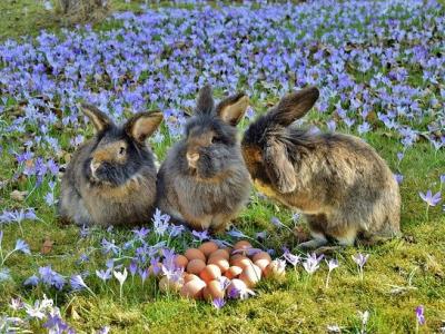 Lunedì di Pasquetta