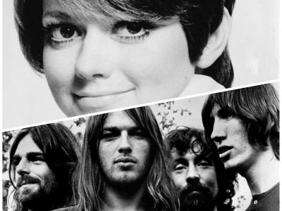 Pink Floyd vs Rta Pavone