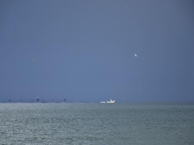 marina di ravenna