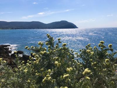 Costa degli Etruschi, Piombino