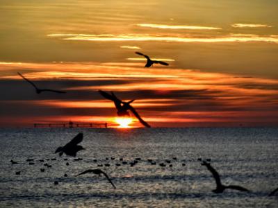 I colori delle albe e dei tramonti