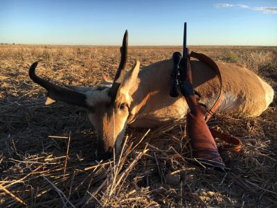 Antelope Cobbler