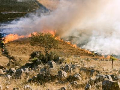 incendio boschivo