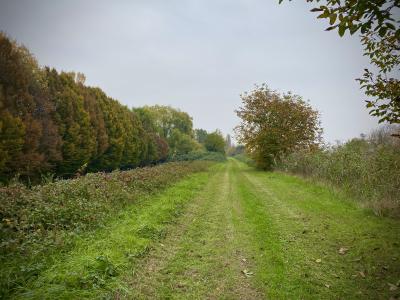 Autunno a Ferrara, ottobre 2021