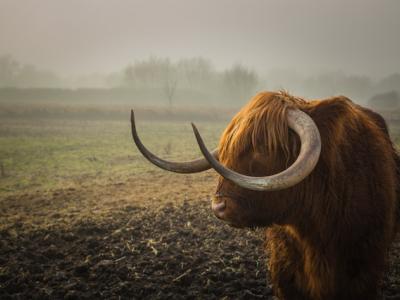 Foto di James Frid da Pexels