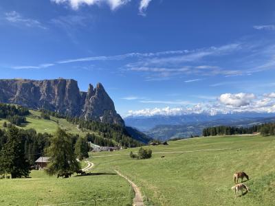 Alpe di Siusi, Bolzano