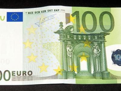 Multa di 100 euro