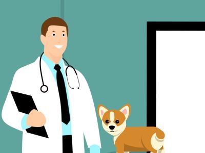 Veterinario: consenso informato