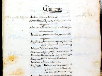 Inventario delle razze reali, 1756