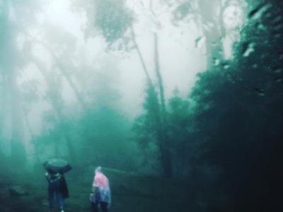 Carmen Cortés Cañagueral – La nebbia