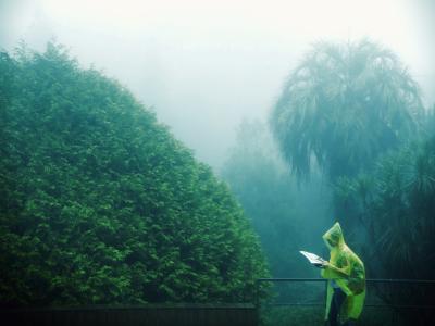 Carmen Cortés Cañagueral – La nebbia