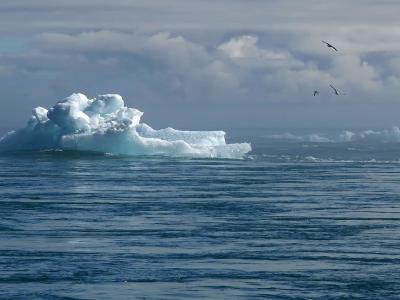 cambiamento climatico