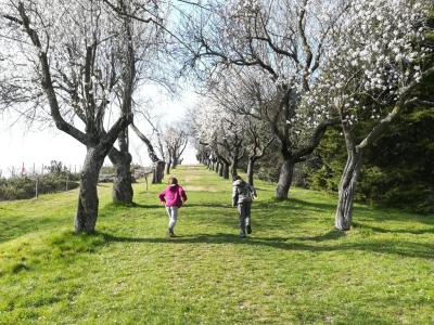 La corsa della vita