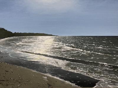 Granchio Rosso di pomeriggio, 60 x 100, olio su tela, 2022