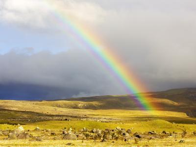 arcobaleno